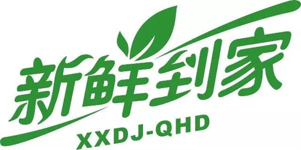 "新鲜到家"半成品净菜商业计划书